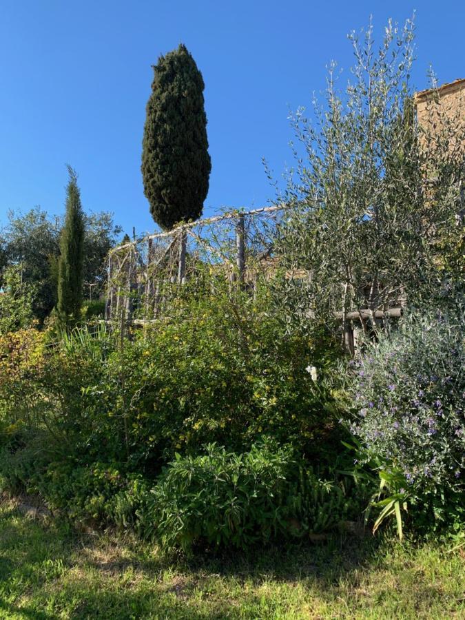 Podere Casallorto Volterra Exterior foto