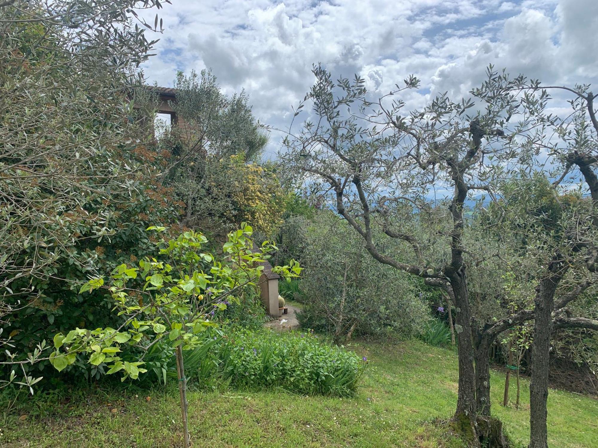 Podere Casallorto Volterra Exterior foto